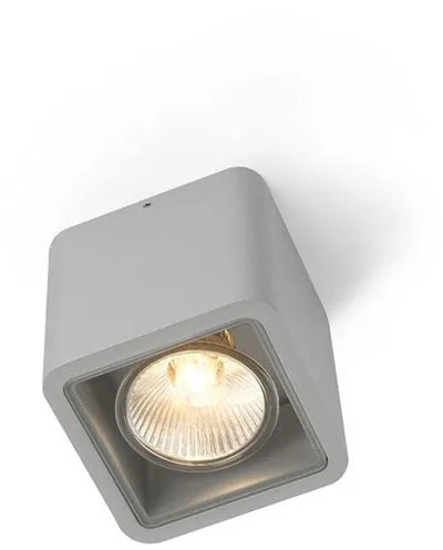 Trizo 21 Code 1 Udendørslampe Anodiseret